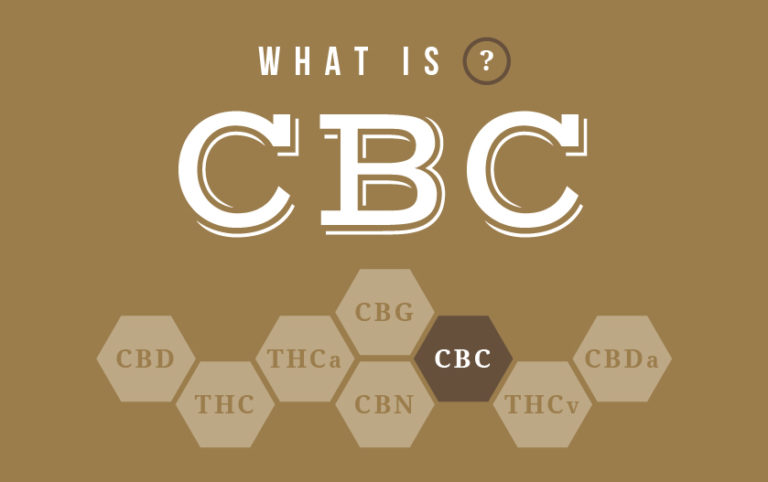 what-is-cbc-weednews-pl-wiat-zielonych-nowo-ci