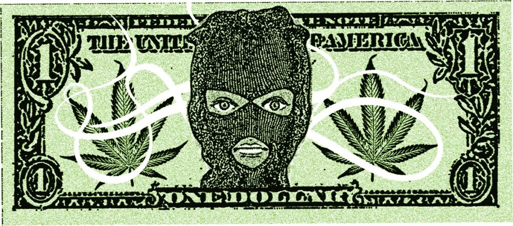 marihuana na czarnym rynku california