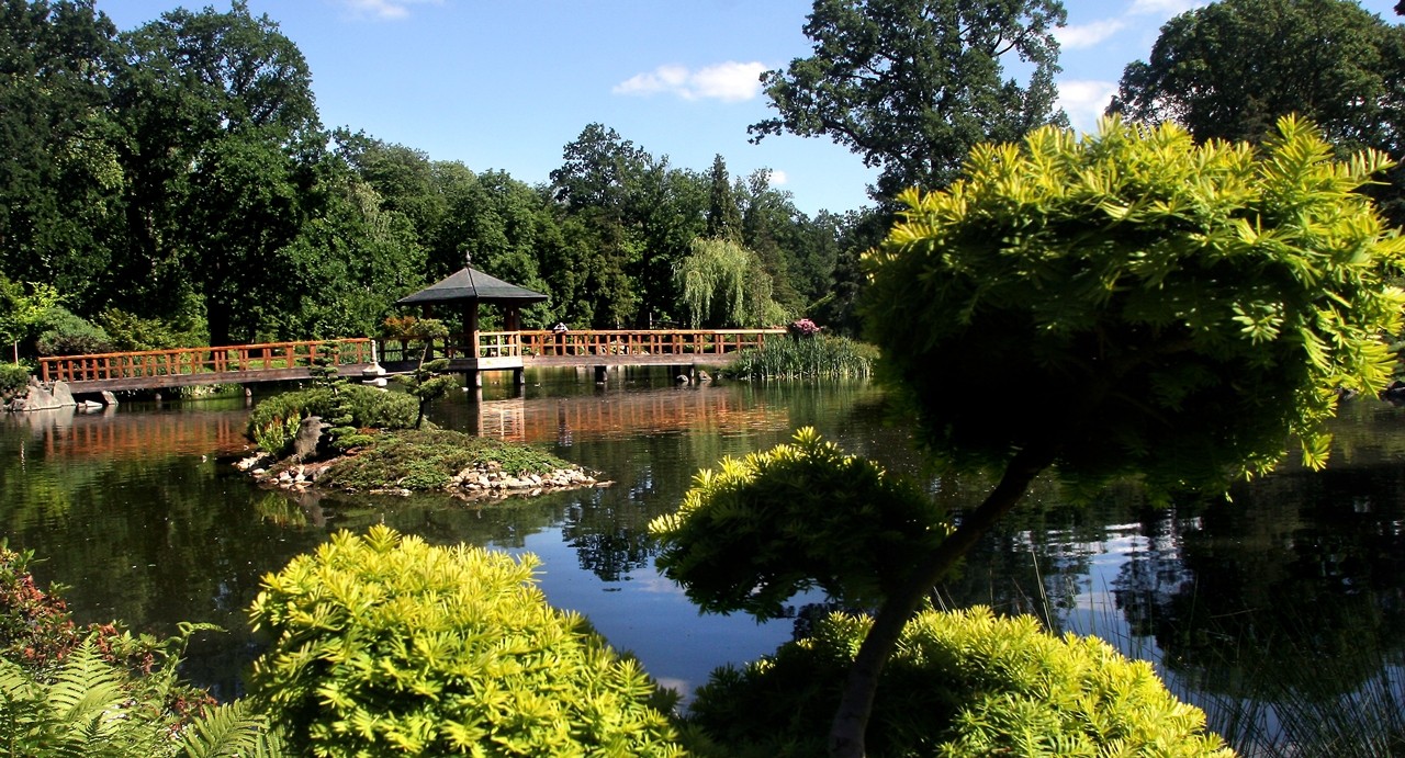 konopie ogród botaniczny wrocław