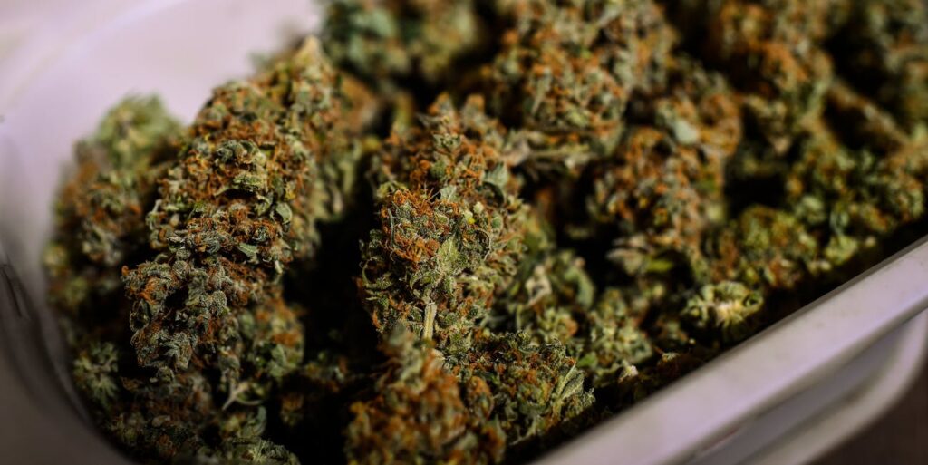 kanadzie-brakuje-marihuany-na-dzien-wprowadzenia-legalizacji