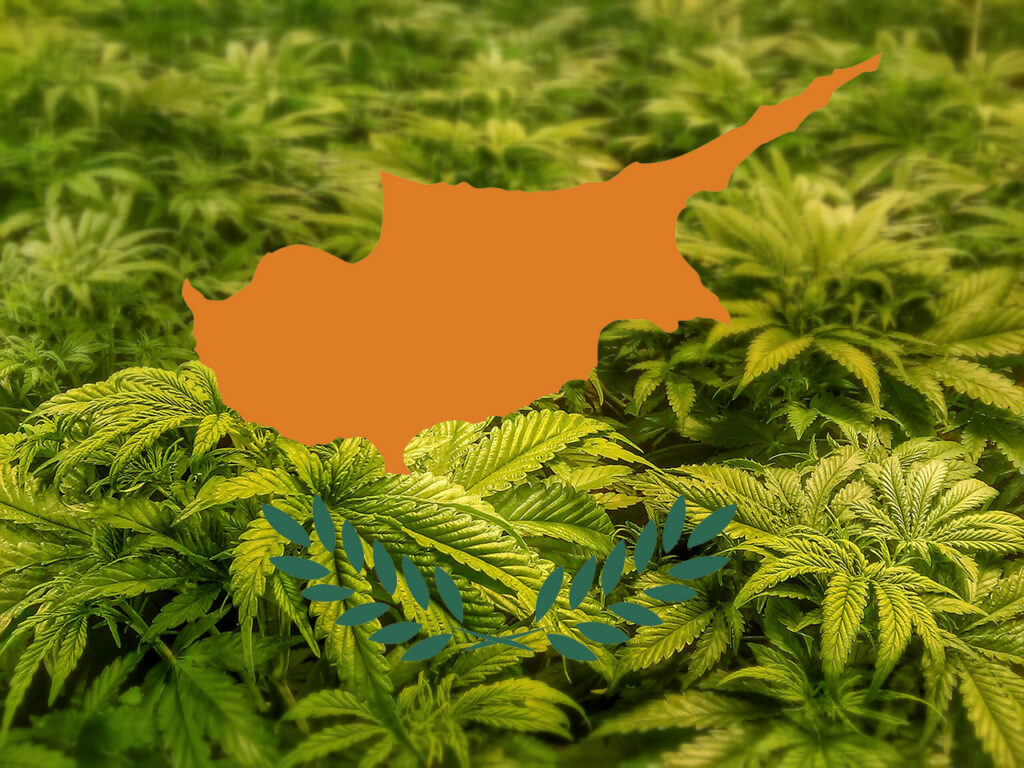 Cypr zalegalizował medyczną marihuanę