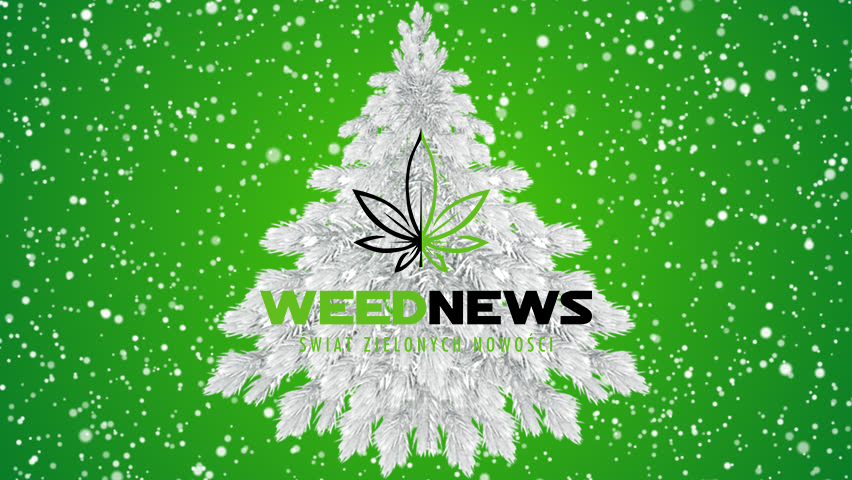 świąteczny upominek