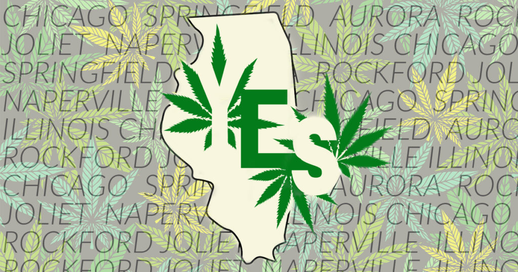 pierwszy dzień legalizacji