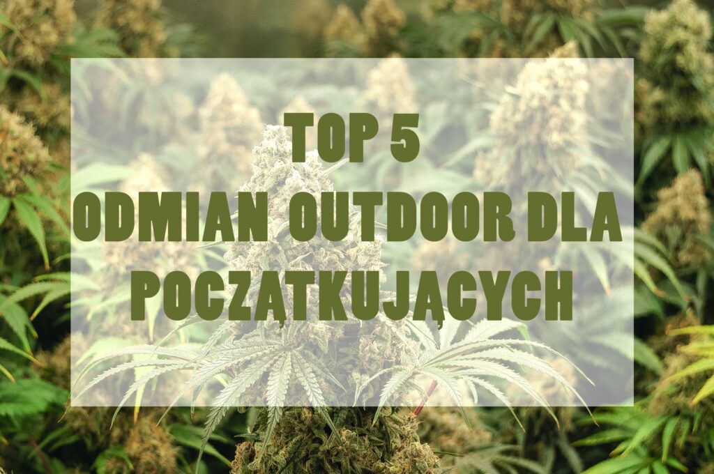 outdoor dla początkujących