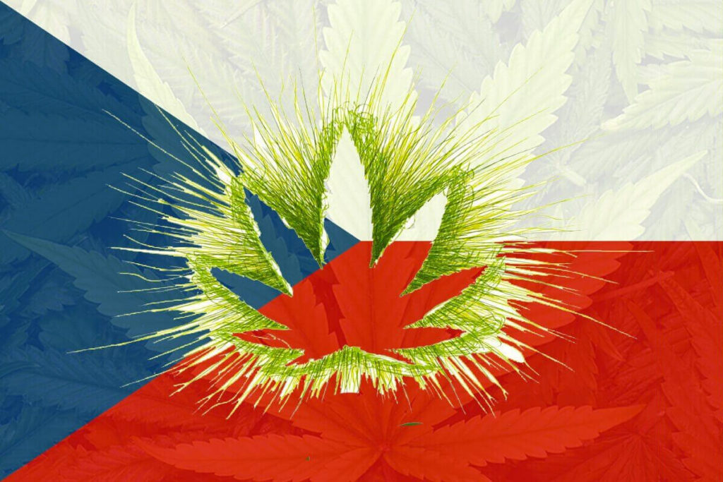 posiadanie marihuany