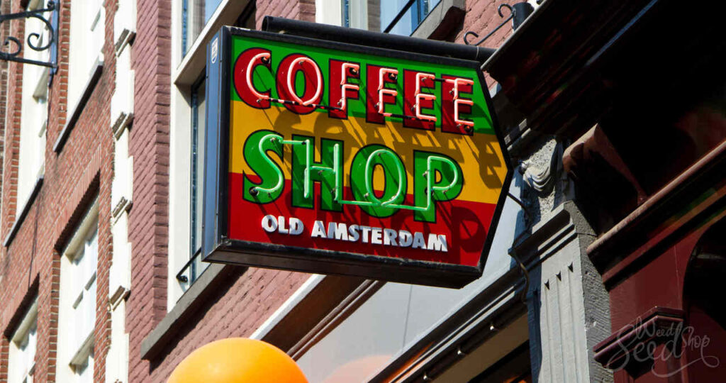 coffeeshopy w AmsterdamieAC