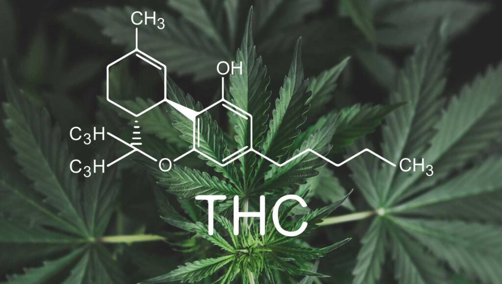 Dekarboksylacja konopi