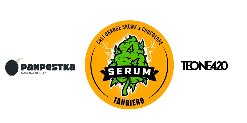 Serum a.k.a. TangiEro