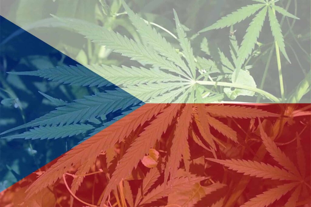 1% THC w konopiach włóknistych