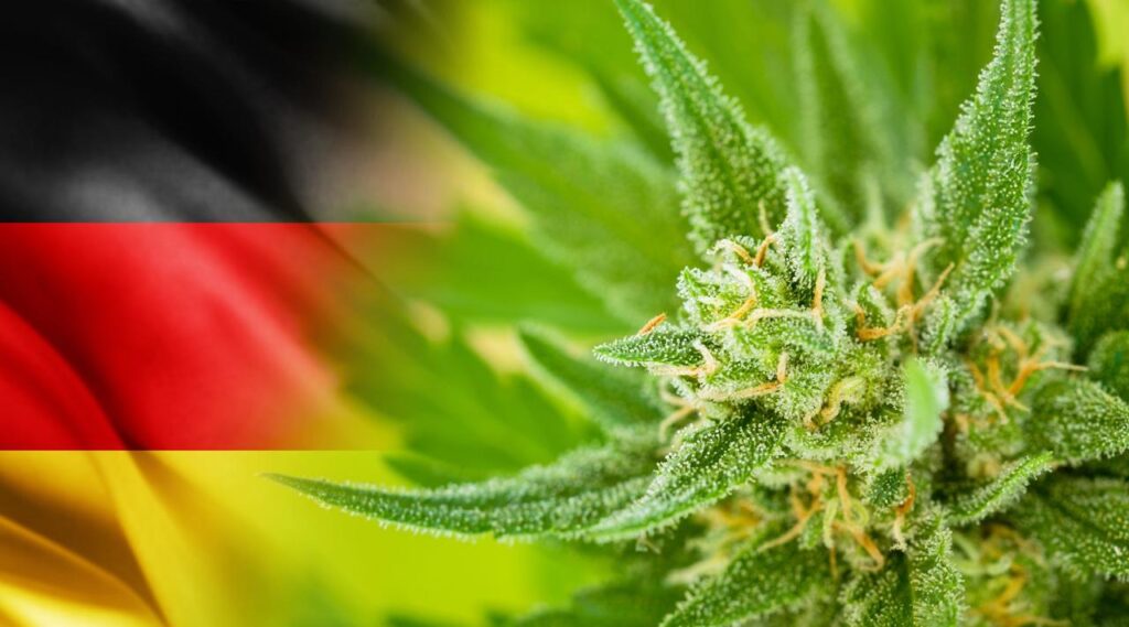 Niemcy legalizują marihuanę