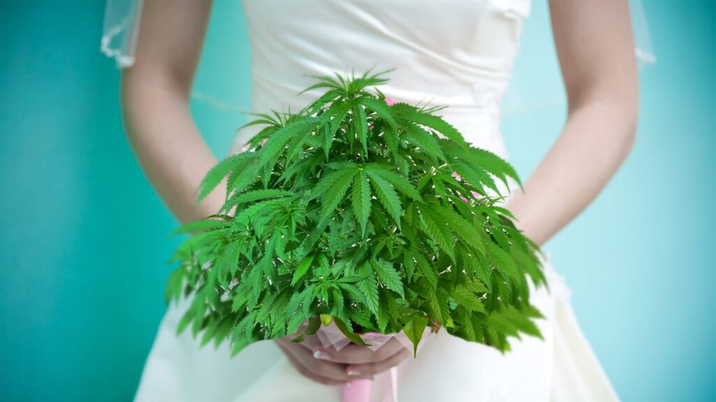 dodała zioło do potraw