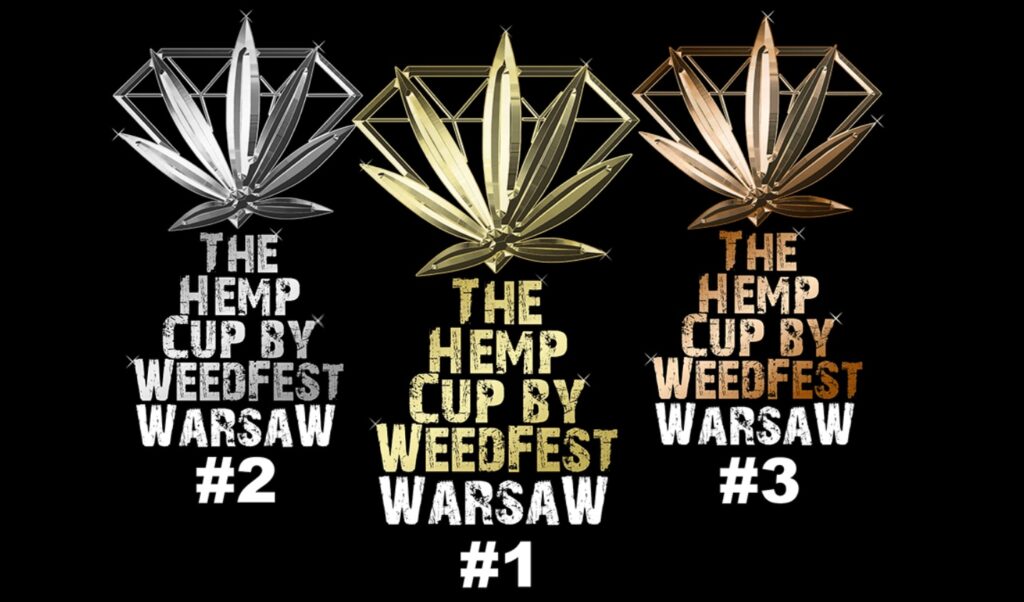the hemp cup