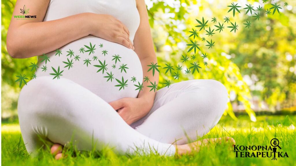 Funkcja układu endokannabinoidowego