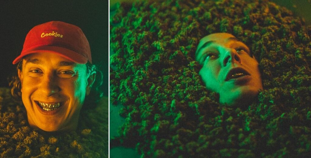 wake & bake łajzol jwp