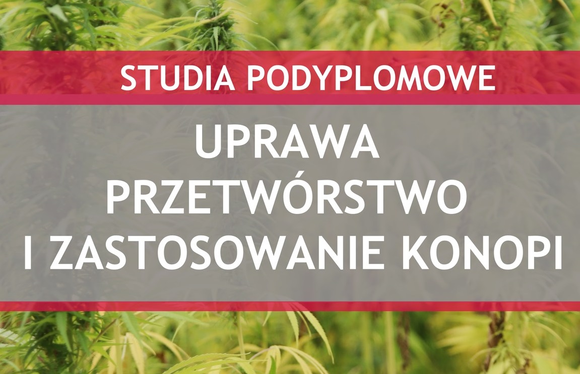 Uprawa przetwórstwo i zastosowanie konopi