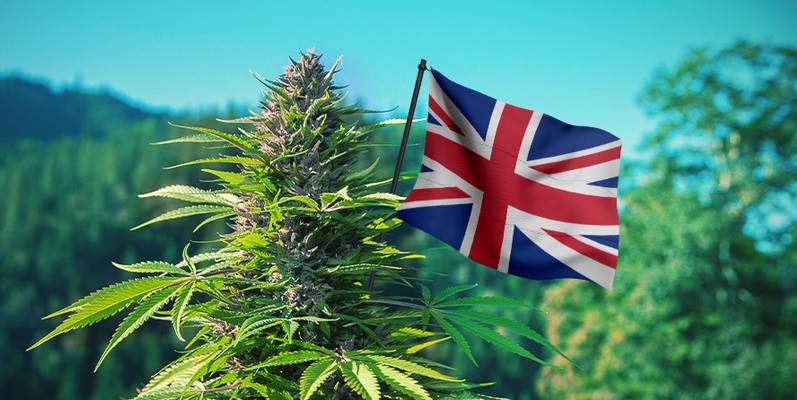 zaostrzenia kar za marihuanę