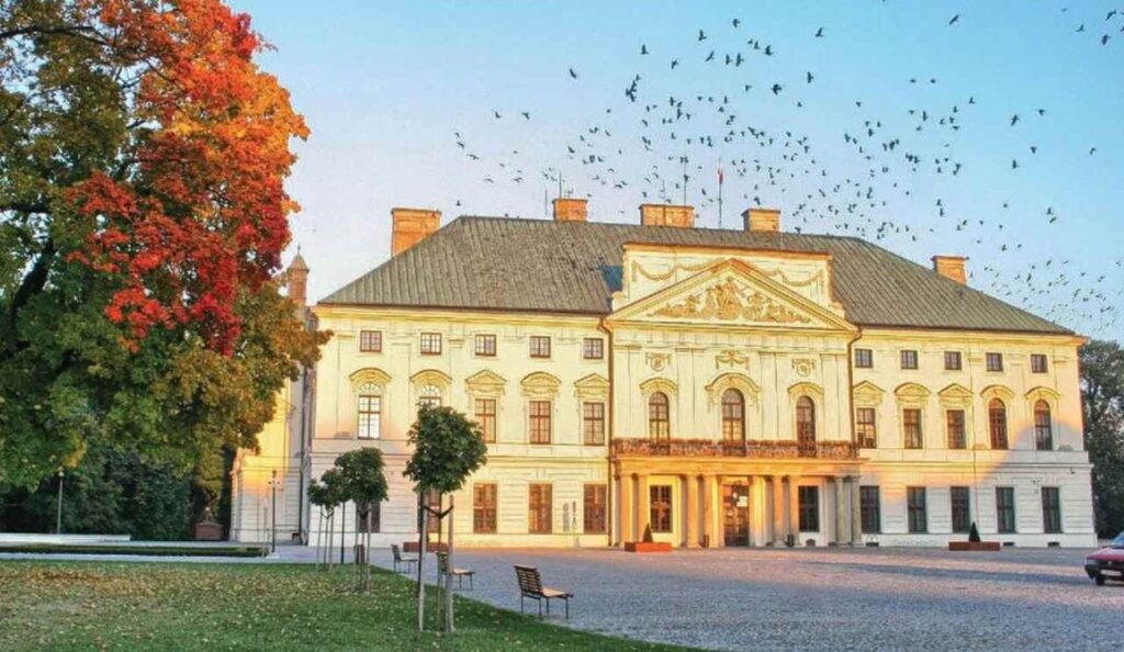 Radny PiS palił marihuanę