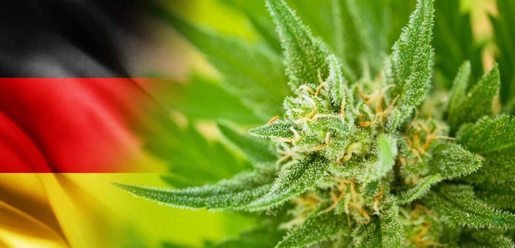 Legalizacja marihuany w Niemczech