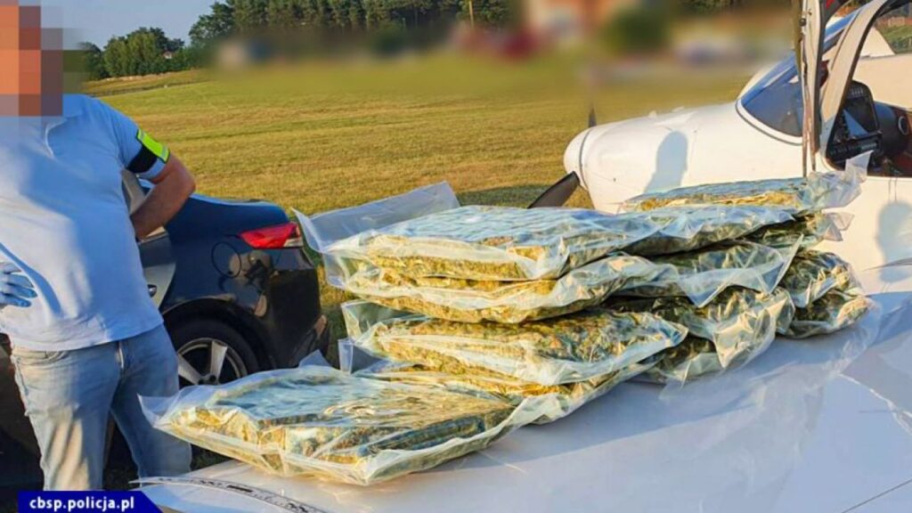 Kaczy Proceder zatrzymany