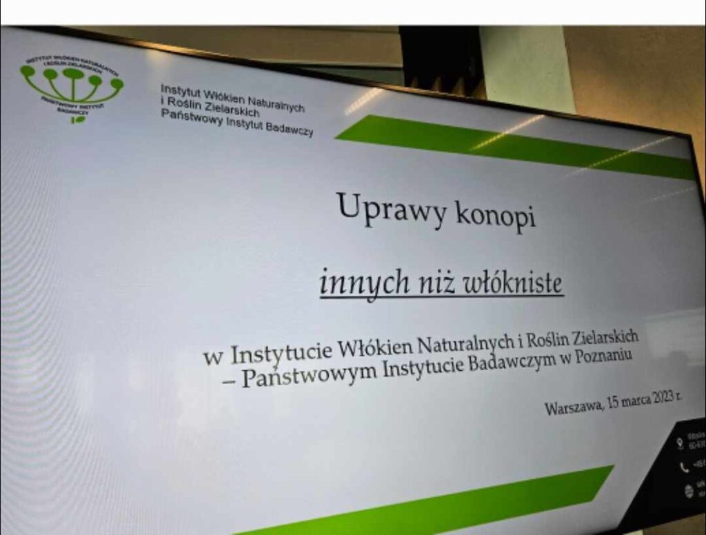 kłamią ws. produkcji medycznej marihuany