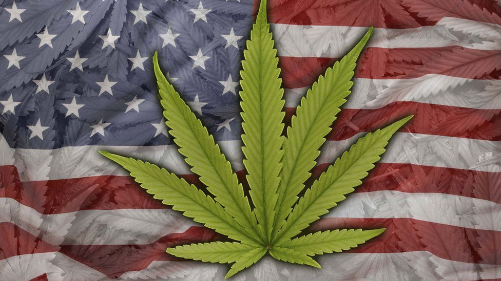 USA zalegalizuje marihuanę