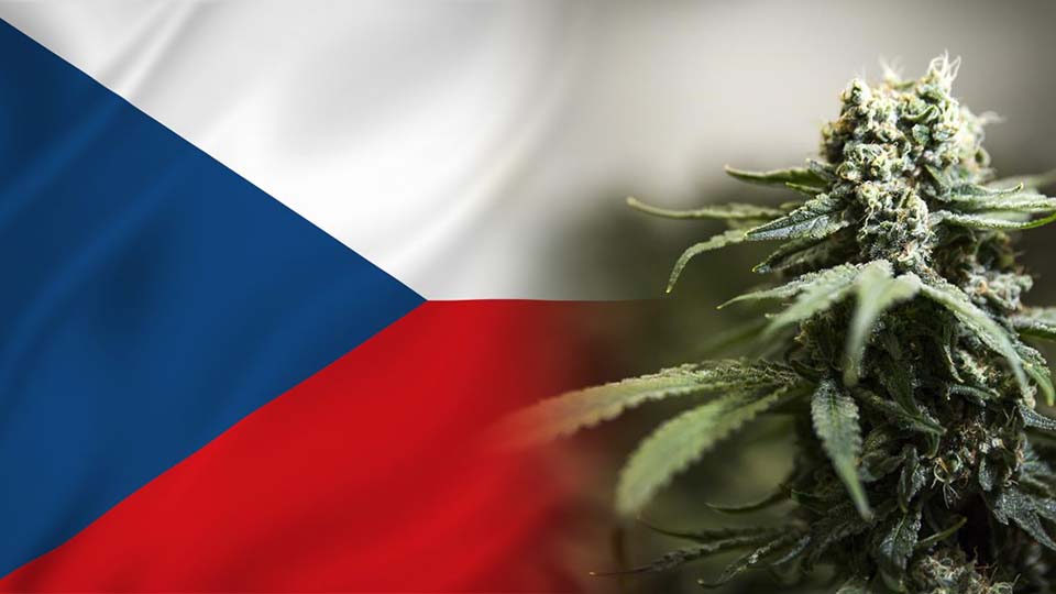 Legalizacja marihuany w Czechach