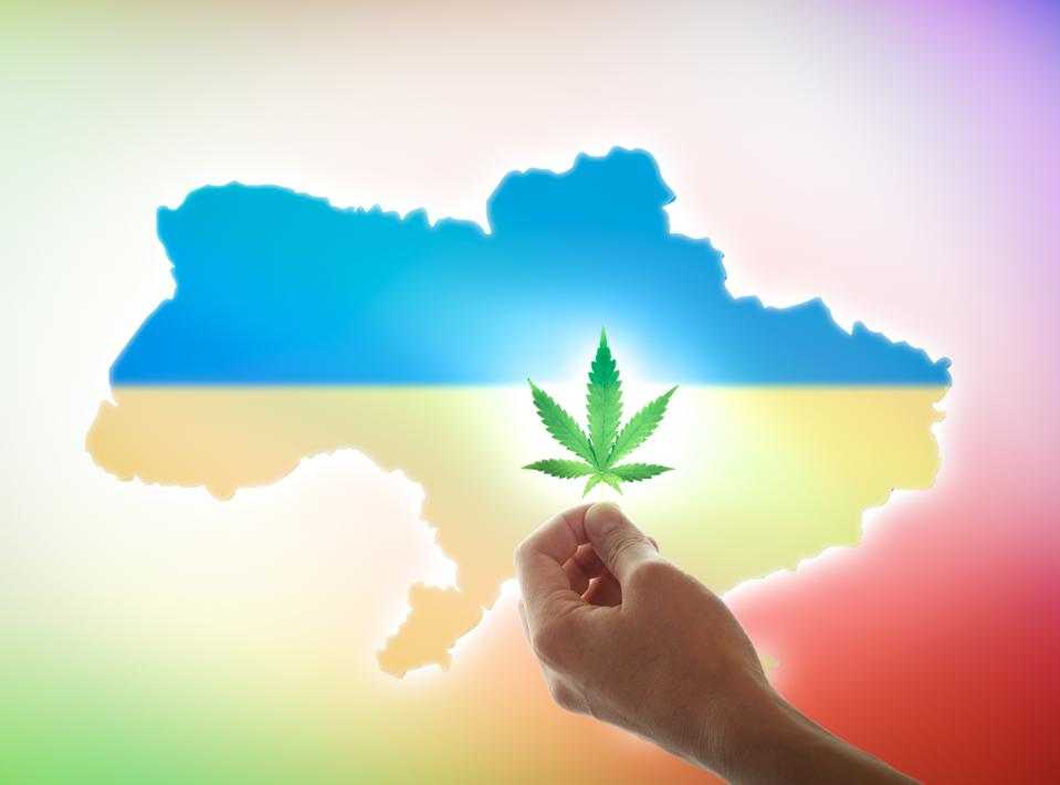 Medyczna marihuana w Ukrainie