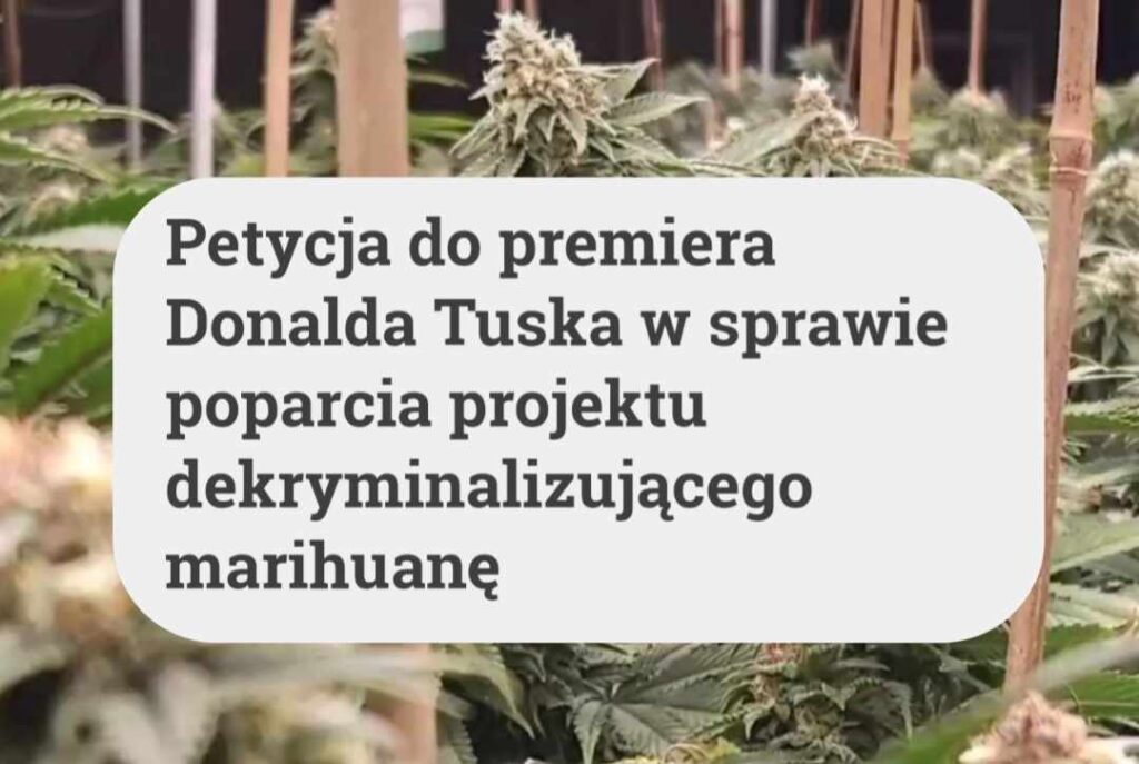 petycja do premiera Donalda Tuska