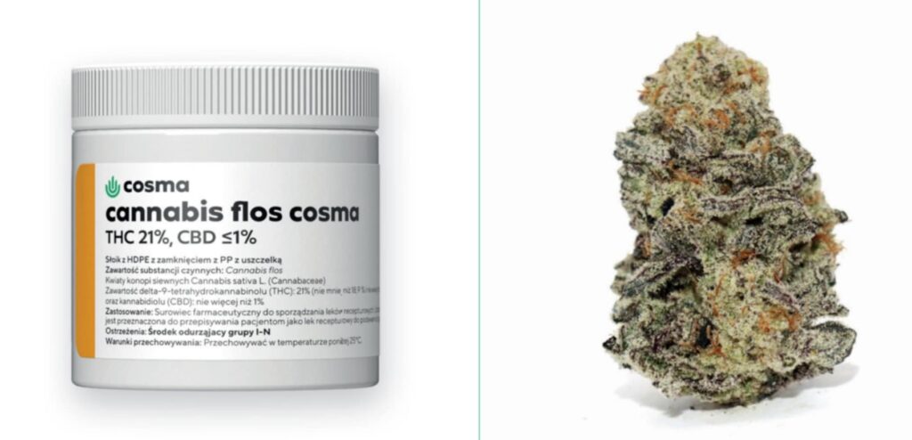 Blue Monkey od Cosma