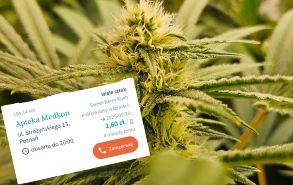 Medyczna marihuana w cenie