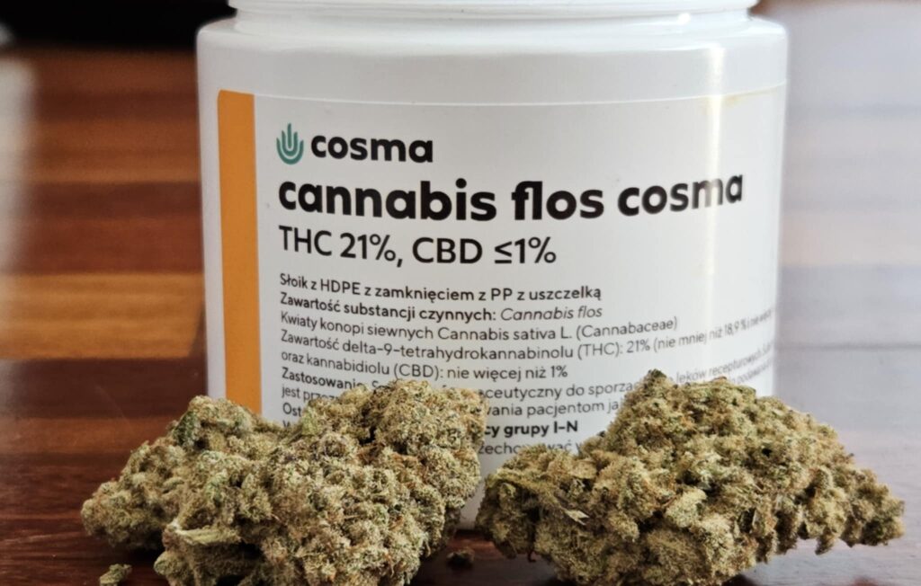 Blue Monkey od Cosmy