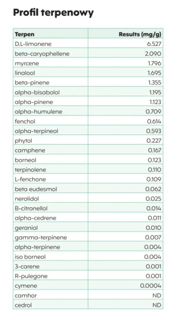 Blue Monkey od Cosmy