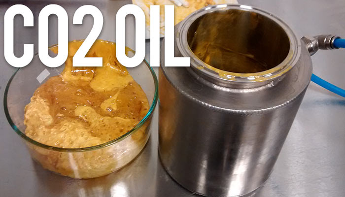 olej co2, sposoby przyjmowania marihuany a wpływ na płuca