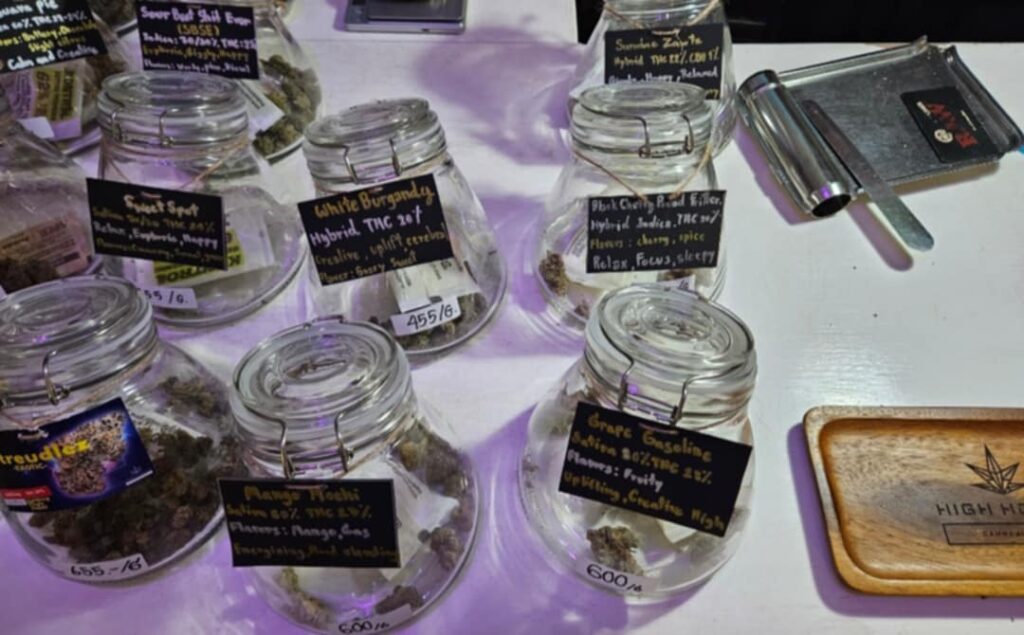 Konopna turystyka - Tajlandia