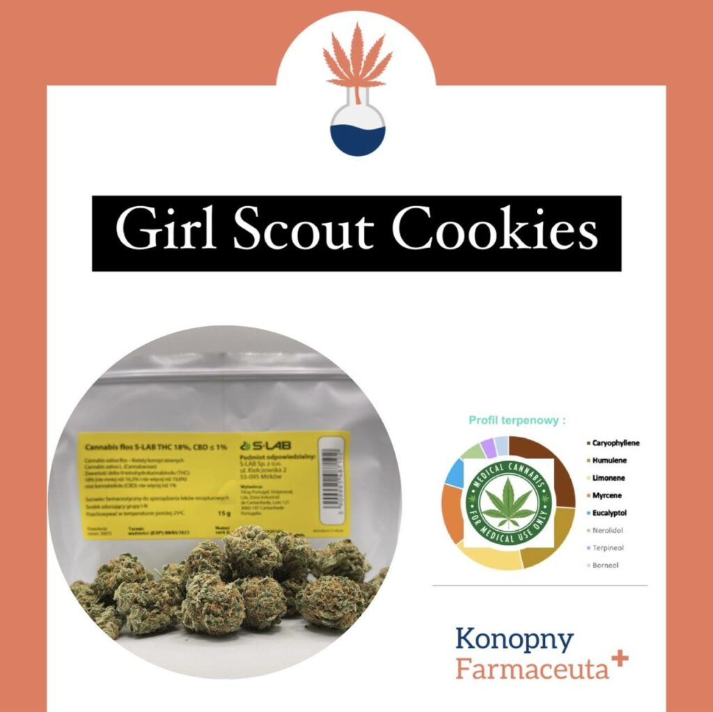 Medyczna marihuana od S-Lab