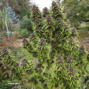 outdoor dla początkujących