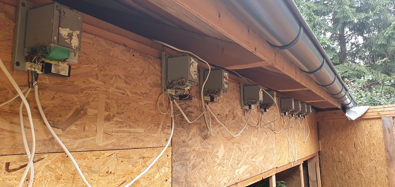 plantacja konopi indyjskich