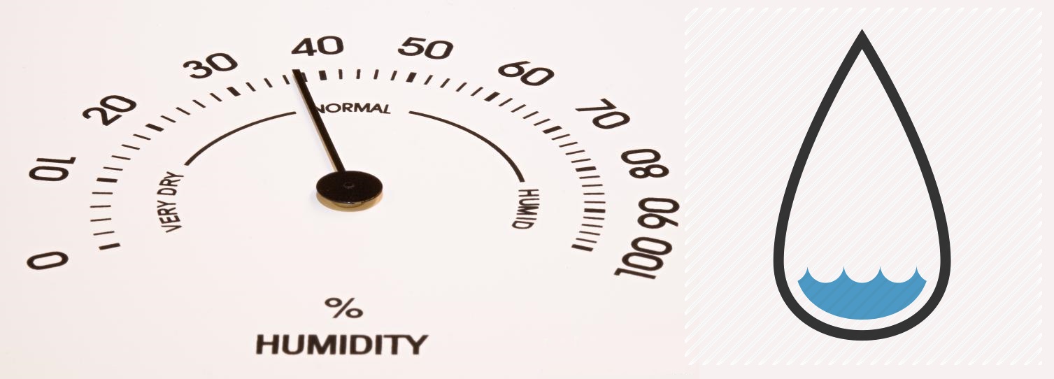 utrzymuj prawidłową wilgotność w celu zwiększenia terpenów w marihuanie