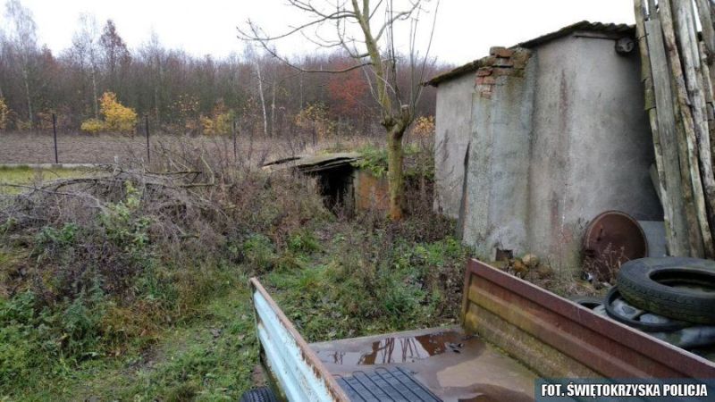 uprawiał konopie indyjskie w ziemiance