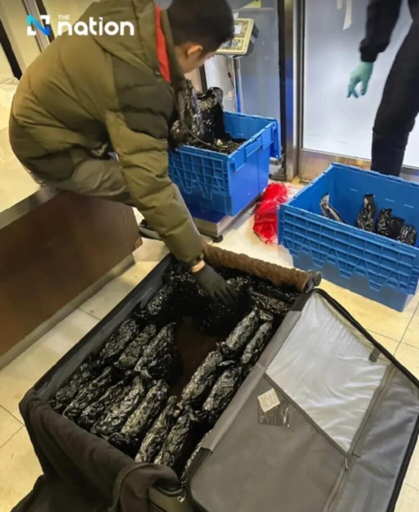 przemytu marihuany do Europy