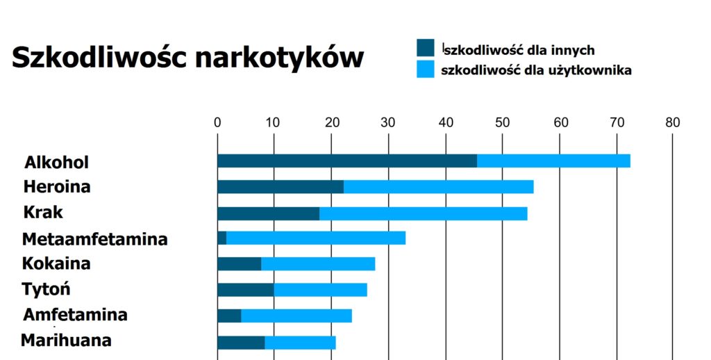 sędzia anna maria wesołowska