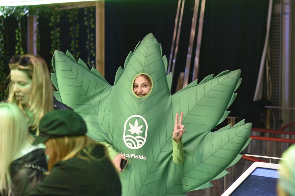 weedfest 2022