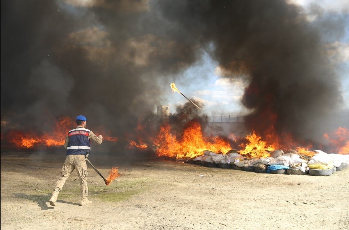 20 ton zarekwirowanej marihuany