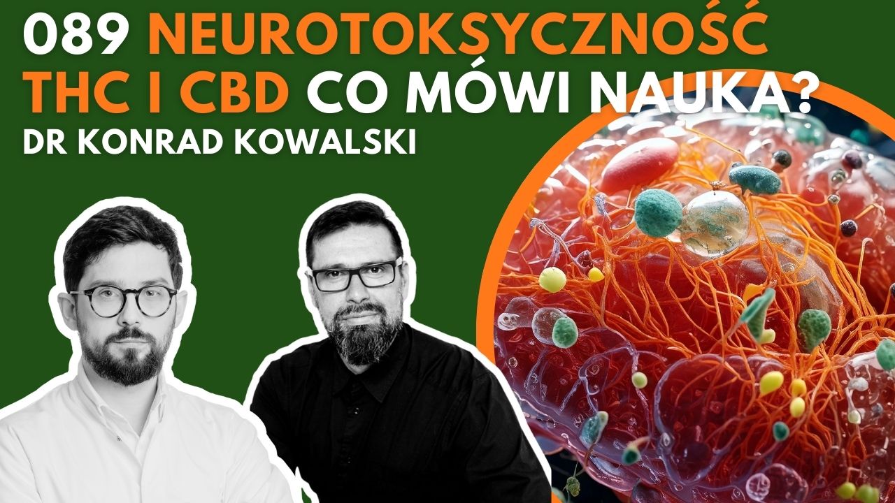 Neurotoksyczność THC i CBD