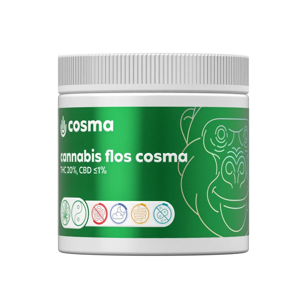 Cosma Gorilla Girl w nowej odsłonie