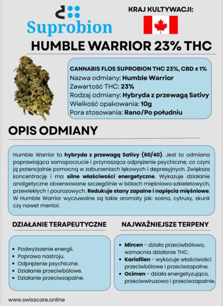 nowe odmiany medycznej marihuany