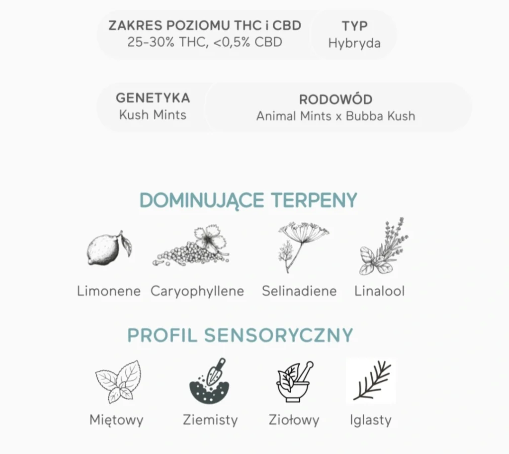 Kush Mints od Spectrum Therapeutics