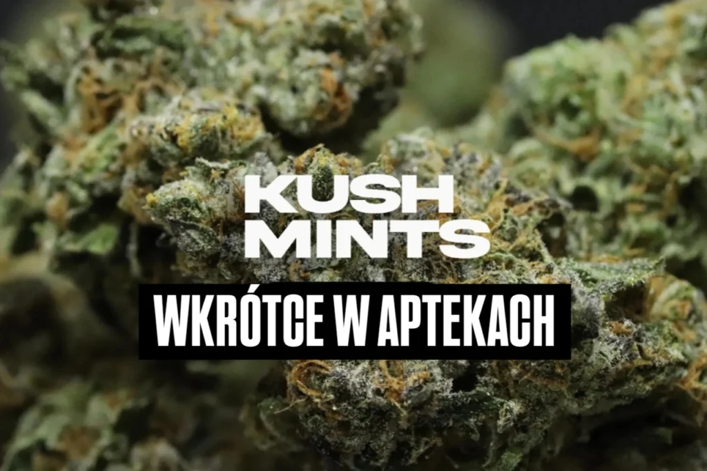Kush Mints od Spectrum Therapeutics