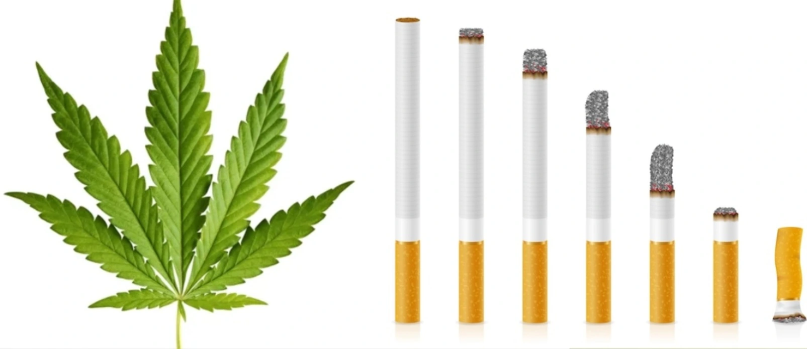 więcej osób pali marihuanę niż papierosy