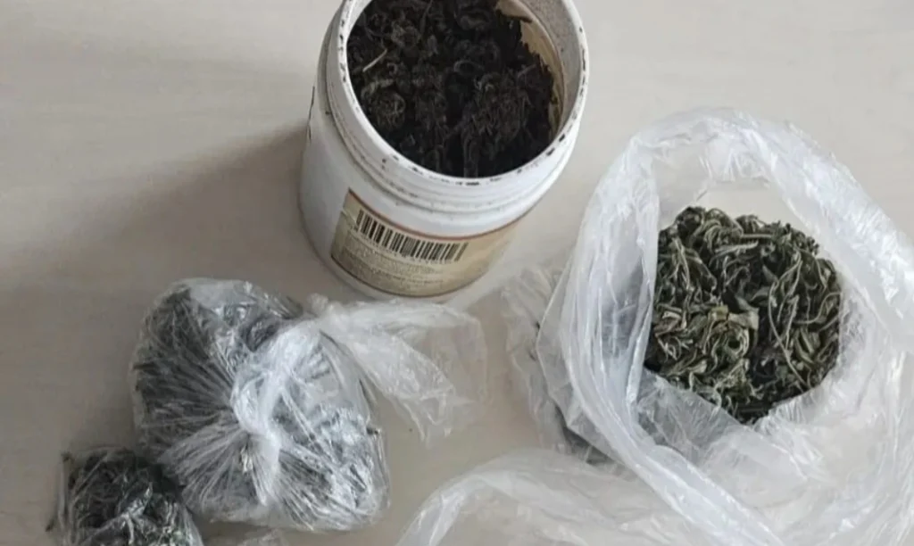 Zatrzymali go za liście